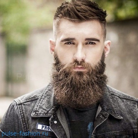 Стильная и модная полная (или русская) мужская борода 2022 Модная мужская борода 2022