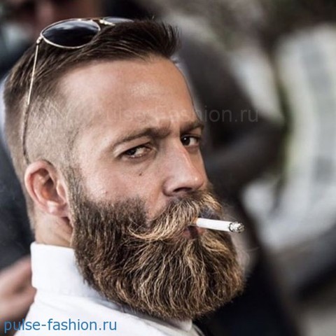 мужская борода  Модная мужская борода 